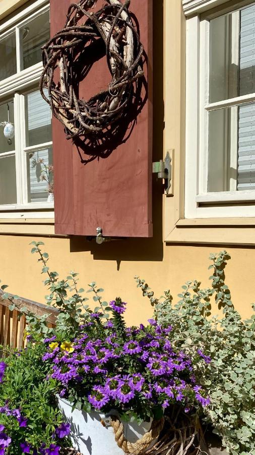 Ferienwohnung Helene Im Einzeldenkmal - Lange Gasse 29 Quedlinburg Eksteriør bilde